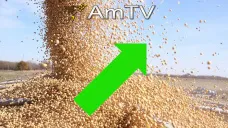 AMTV: Tras el feriado en EEUU, la soja sigue en suba