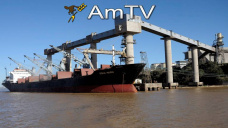 AMTV: Las cerealeras liquidaron U$S 434 Mill. Soja y Maíz de EEUU con excelentes condiciones