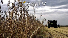 AMTV: Nuevas caídas para la soja y demanda internacional vital