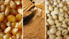 Los granos operan mixtos en el mercado de referencia