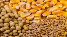 Las buenas perspectivas de oferta condicionaron la evolución de los precios de los commodities
