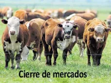 PM TV: Más recortes para el área sembrada de trigo a nivel país- Ahora pasó a 2,8 mill.tt.