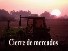 PM TV: Resumen semanal de granos. La soja llegó a los $1.000 en Rosario. Subas en Liniers 
