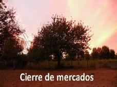 PM TV: Finalmente la soja cerró en baja en CBOT y en MATBA. El crudo volverá a los U$S 100 a partir de 2011