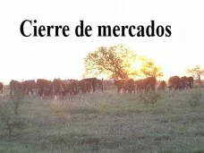 PMTV: La soja revirtió pérdidas en CBOT por demanda China. Moreno presiona y CARBAP amenaza con un paro