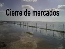 PM TV: Contundente suba para los commodities en Chicago. El petróleo tocó los máximos de 5 semanas