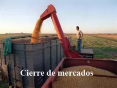 PM TV: Los futuros diferidos de soja registraron ganancias en CBOT. Se acentúa la reducción del stock bovino 