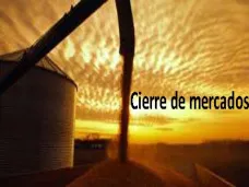 PMTV: 