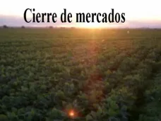 PM TV: Los granos cerraron en alza alentados por el dólar y el clima. Precios en baja en Liniers