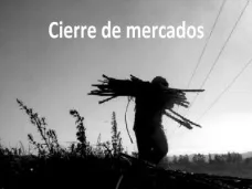 PMTV: 