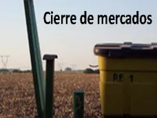 PM TV: 