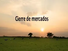 PM TV: Cierre bajista en CBOT. Los granos recibieron presión por una toma de ganancias. Buenos niveles de precios en Liniers