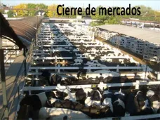 PMTV- Jueves atípico en Liniers: se enviaron más de 1.250 vacas holando a faena  
