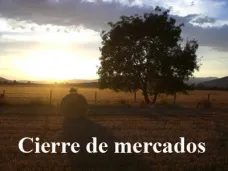 PMTV: 