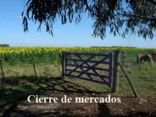 PMTV: 