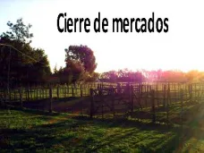 PM TV: Subas para el trigo y bajas para la soja y el maíz en MATBA. Los toros continúan con precios firmes en Liniers