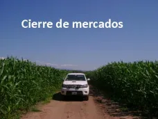 PM TV: Cierre bajista en CBOT. Reapareció un comprador de trigo y pagó el 