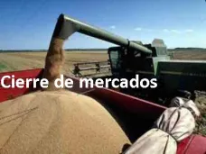 PM TV: 