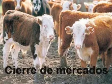 PMTV: 