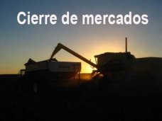 PM TV: Subas para los cereales y pérdidas para la soja en CBOT. Los precios de hacienda directa superan a los de Liniers