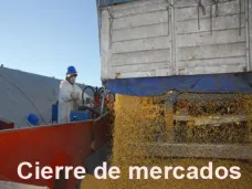 PMTV: 