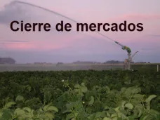 PM TV: 