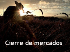 PMTV: 