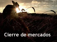 PMTV: 