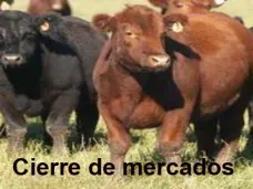 PM TV: 