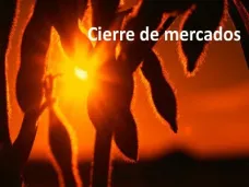 PMTV: 