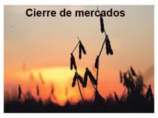 PM TV: 