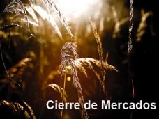 PMTV: 