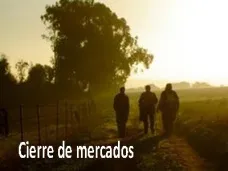 PM TV: 