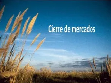 PM TV: 