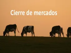 PMTV: 