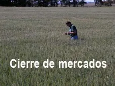  PMTV: 