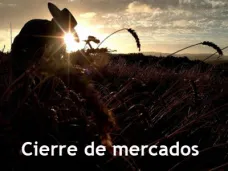 PMTV: 