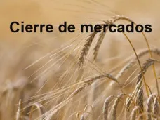 PMTV: 