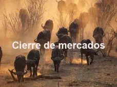PM TV: 