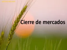 PMTV: 