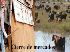 PMTV: 
