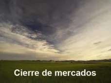 PM TV: 