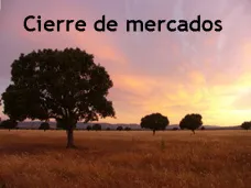 PMTV: 