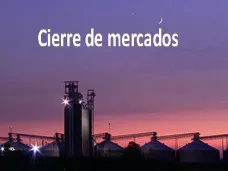 PMTV: 