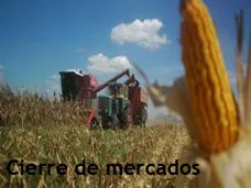 PMTV: 