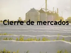 PMTV: 