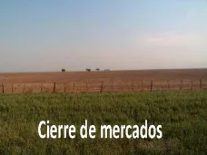 PMTV: 