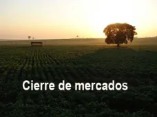 PMTV: 