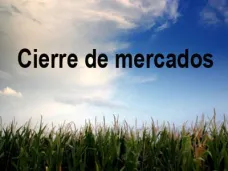 PMTV: 