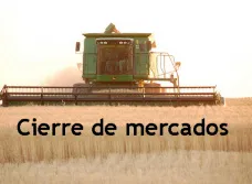PMTV: 